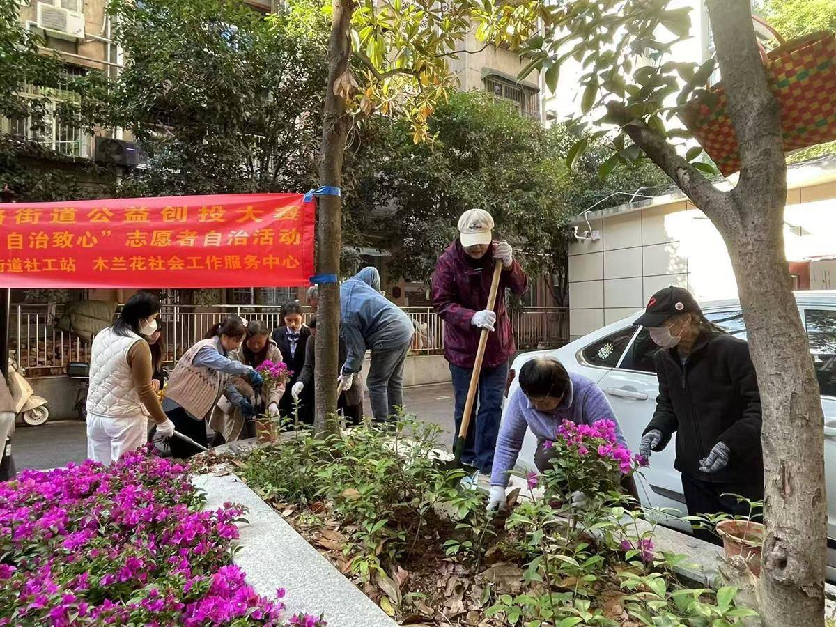 老旧小区零碎空间华丽变身为“共享花园”