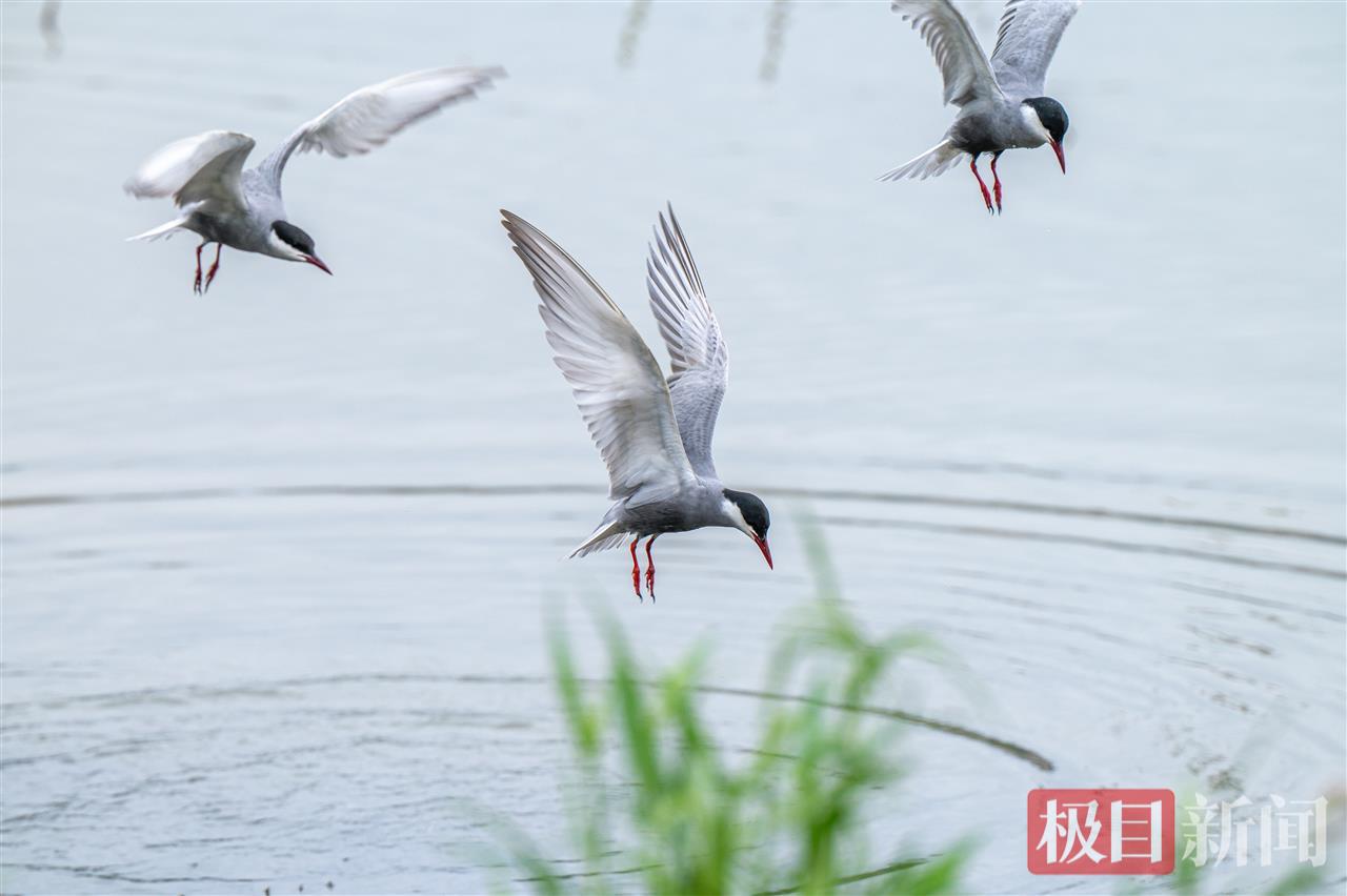微信图片_20250729155938.jpg