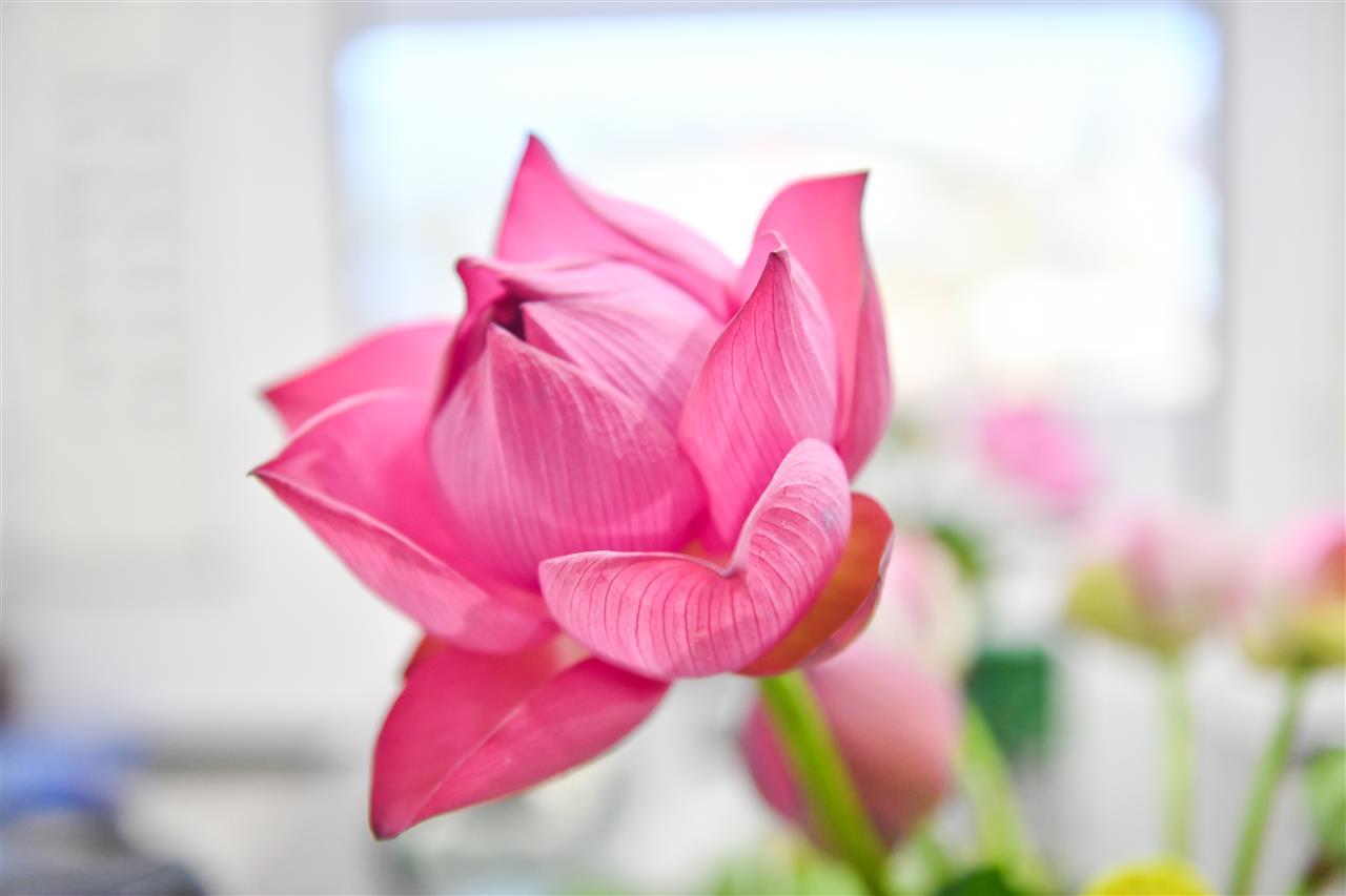 32b67c802d2f2d562b118d55978995c.jpg 32b67c802d2f2d562b118d55978995c.jpg