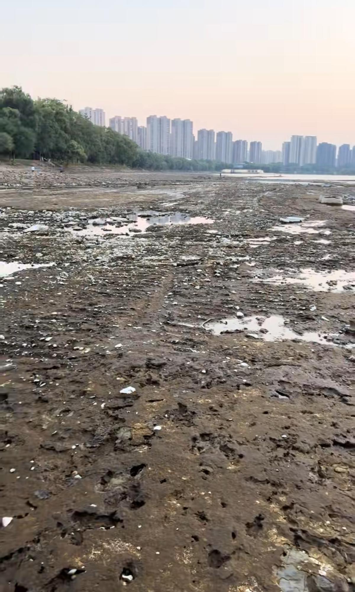 沈阳浑河部分河段干涸有市民在河床散步水务部门:系洪水导致橡胶坝损坏维修完成后恢复供水(图2)