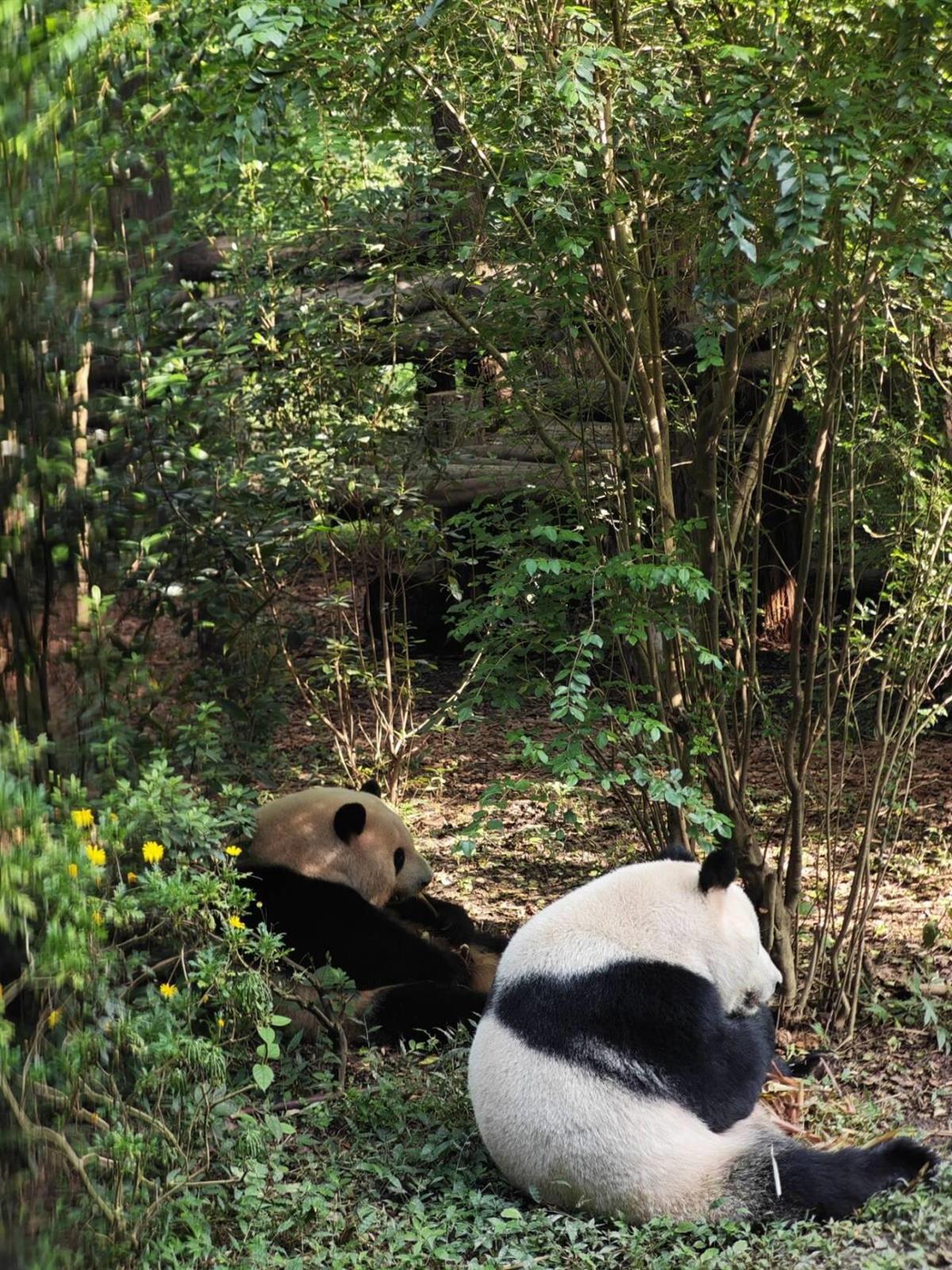 61cb49ce0327ef546e14010889a666e7_720.jpg 61cb49ce0327ef546e14010889a666e7_720.jpg