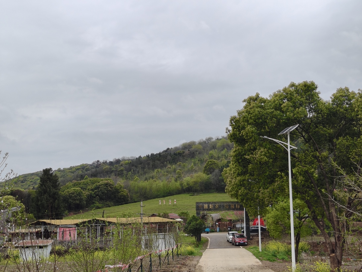 微信图片_20260330165817_666_12.jpg 微信图片_20260330165817_666_12.jpg