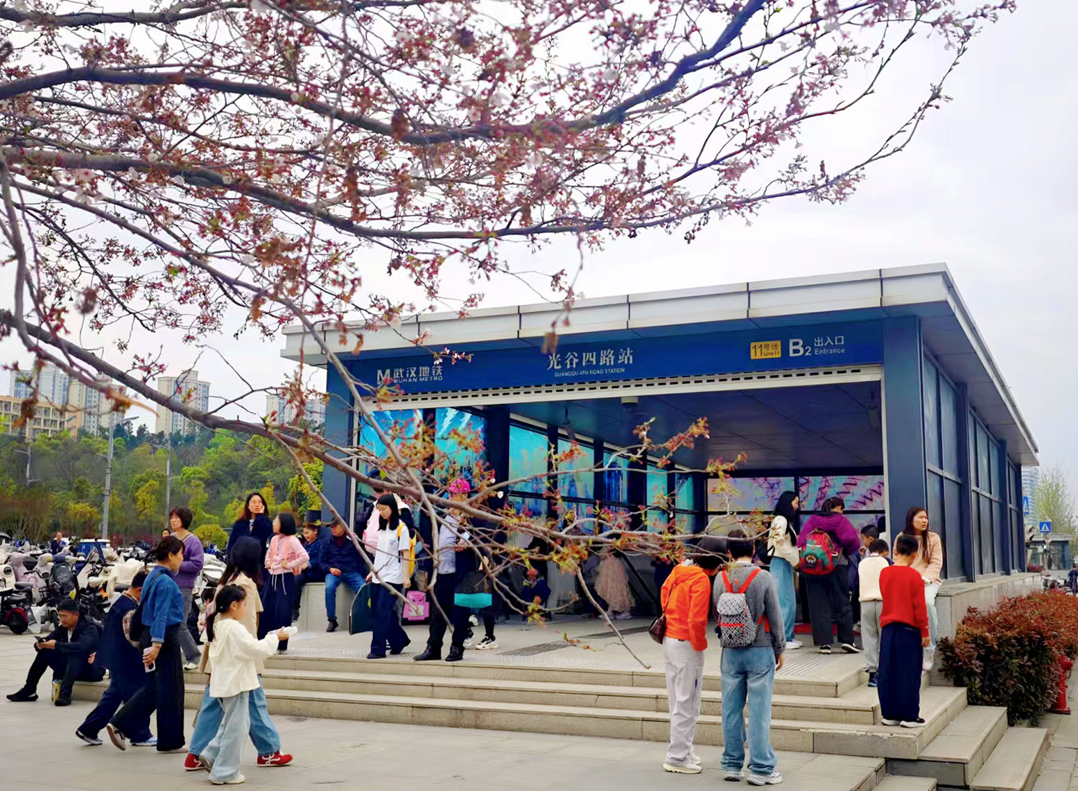 IMG_7434.jpeg IMG_7434.jpeg