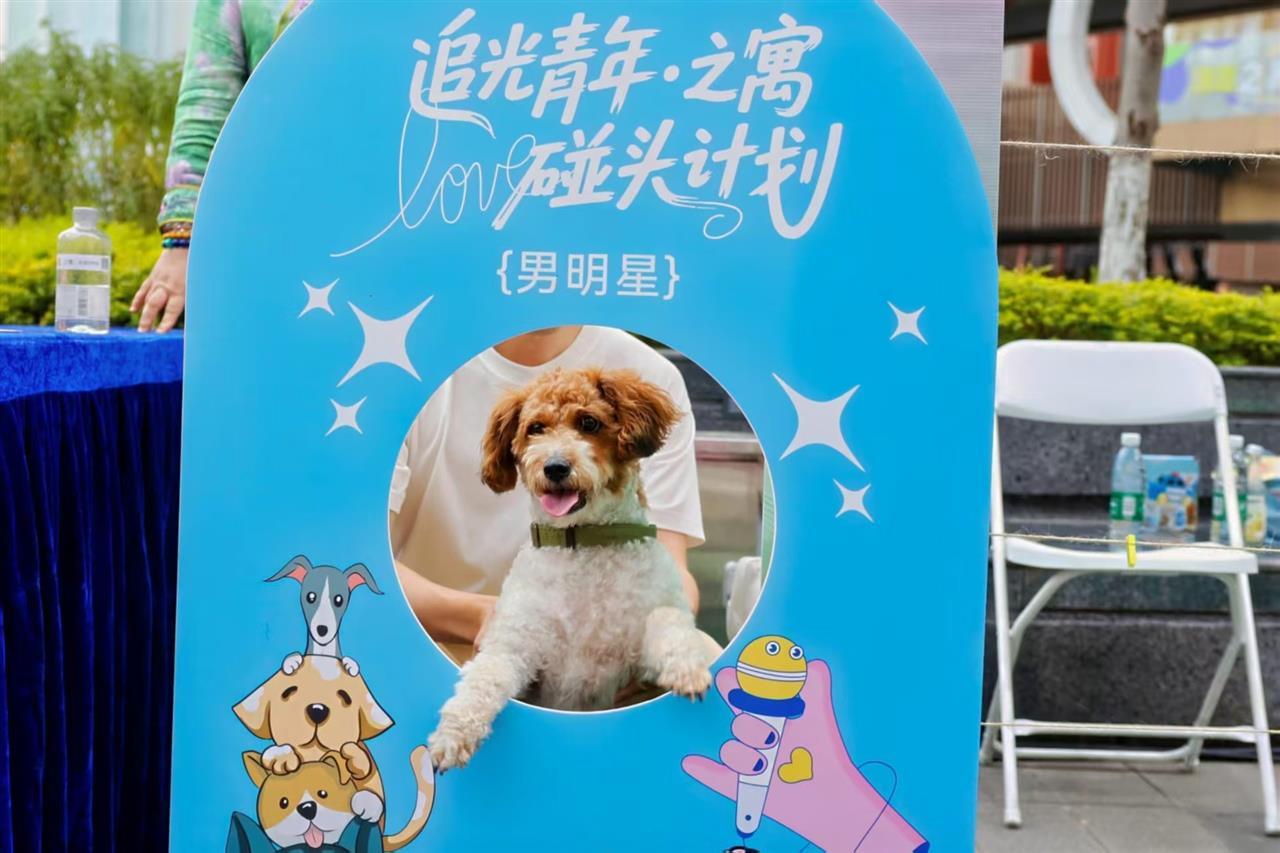 男明星.jpg 男明星.jpg