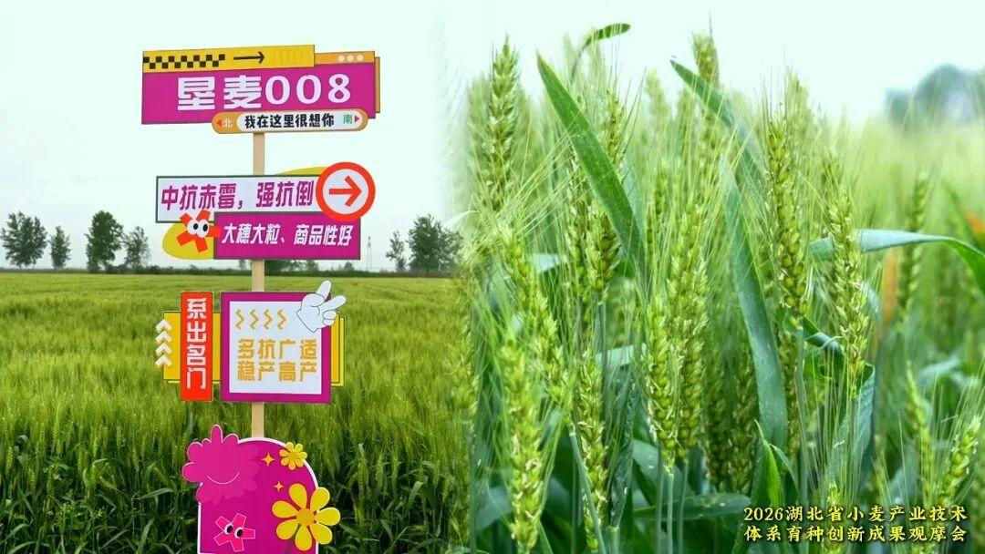 图片6.png 图片6.png
