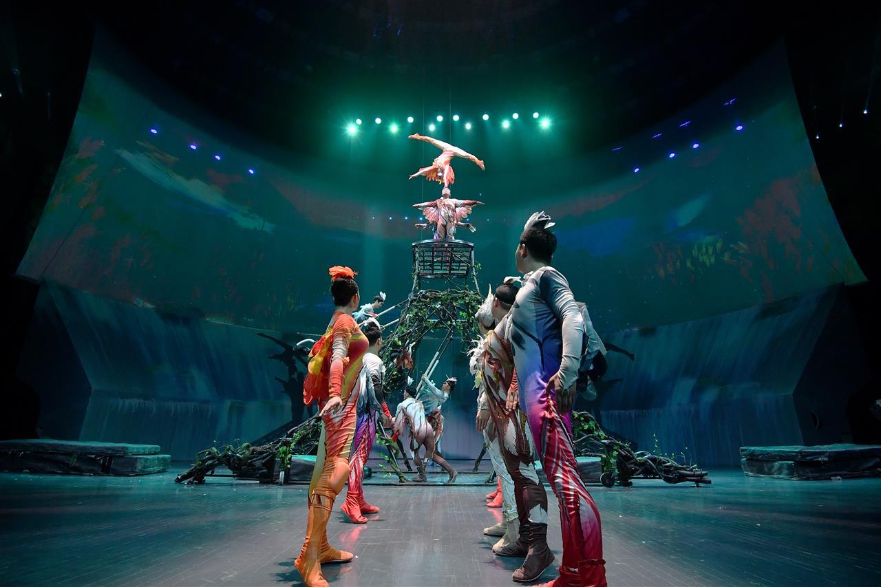 D5C_8428.JPG D5C_8428.JPG