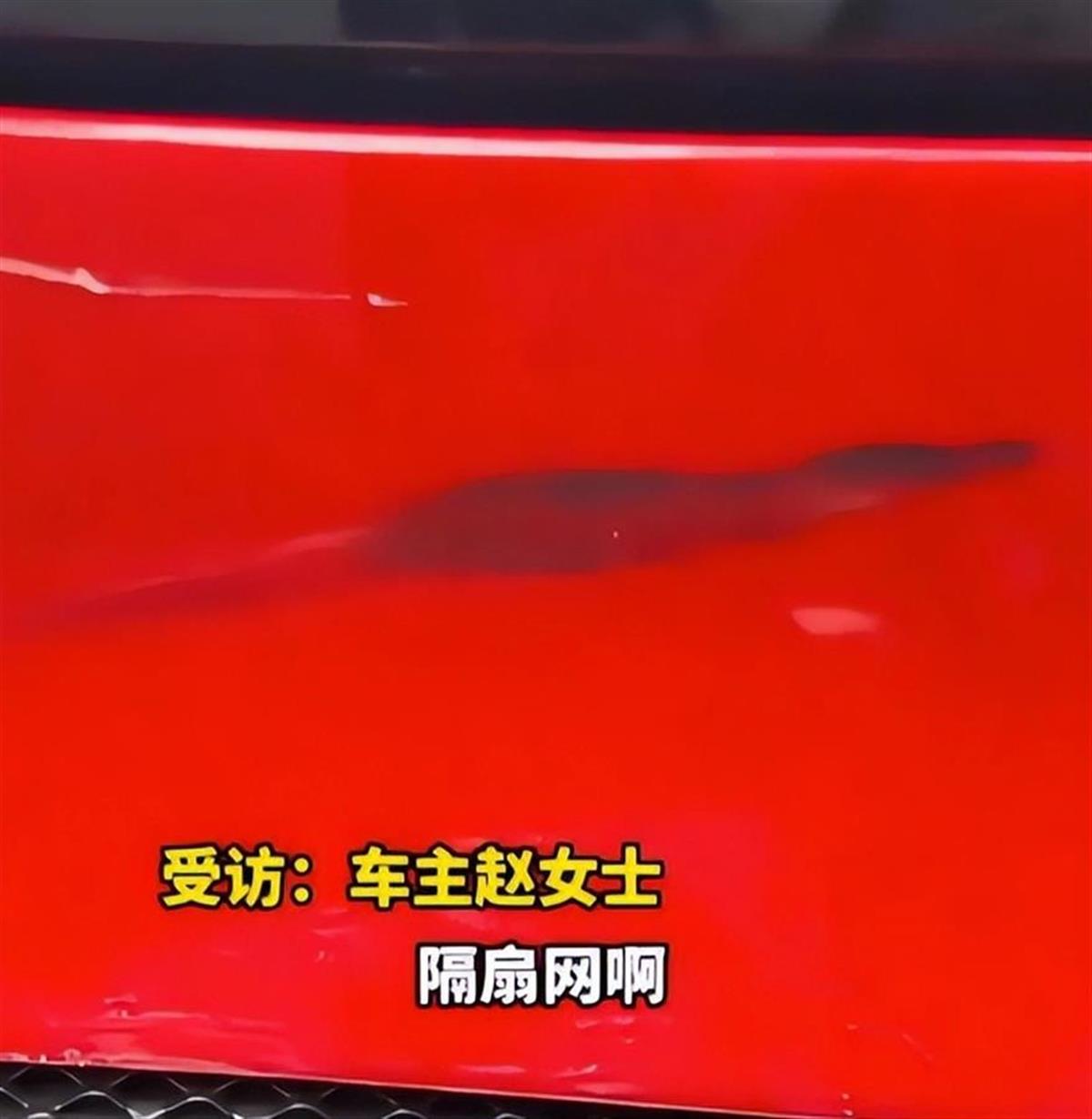 2B467D7B9008BBB04A9EF0E35EB7A52A.png 2B467D7B9008BBB04A9EF0E35EB7A52A.png