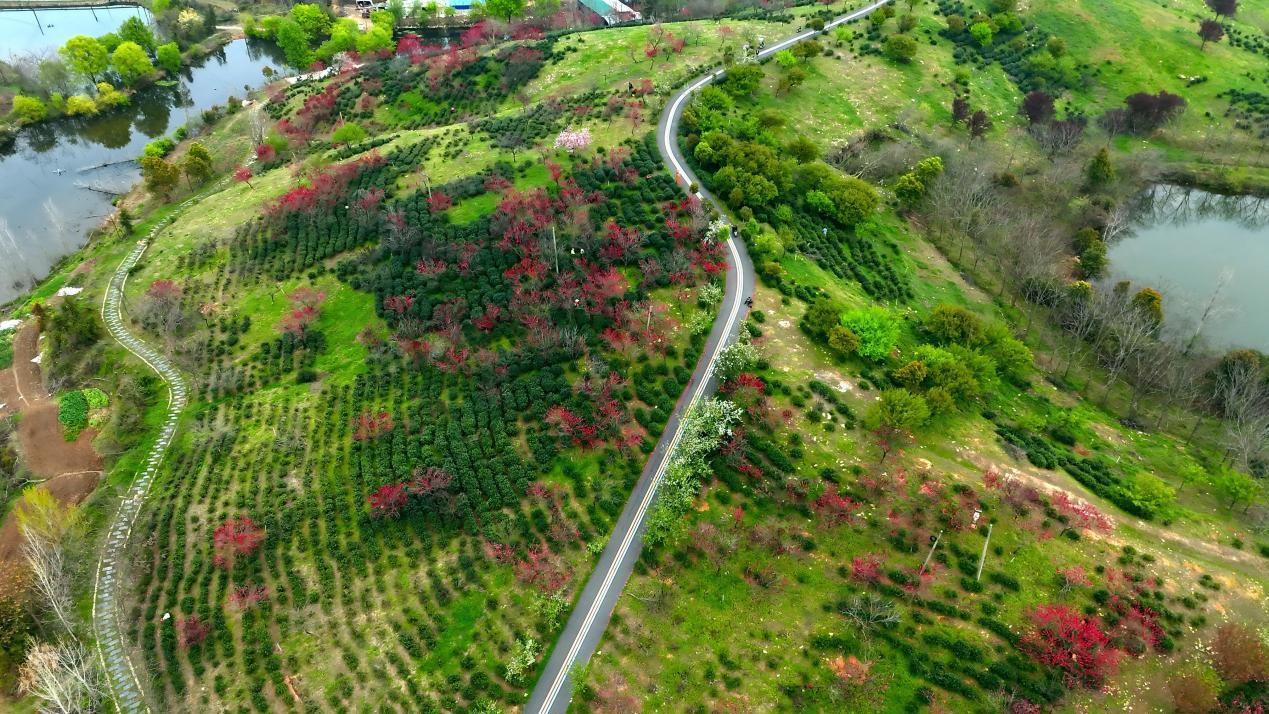 图片1.png 图片1.png