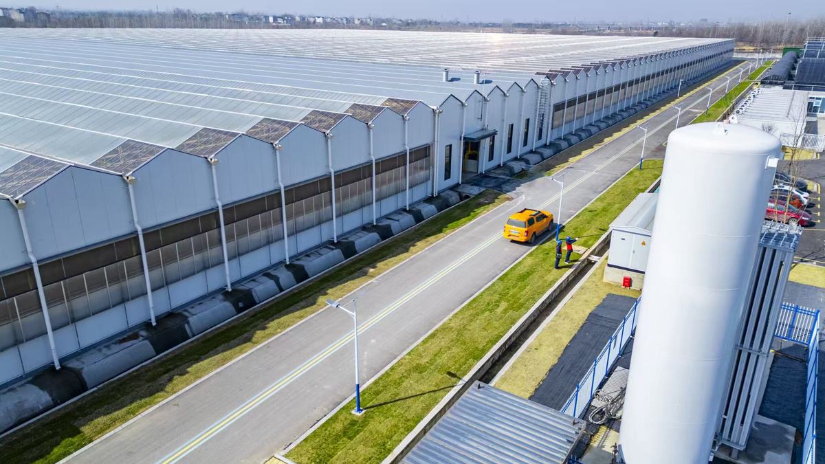 微信图片_20260311151139_136_1.jpg 微信图片_20260311151139_136_1.jpg