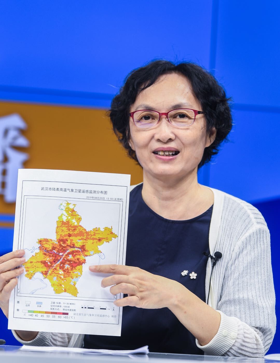 李兰,湖北省气象局武汉区域气候中心正研级高级工程师,气象灾害风险