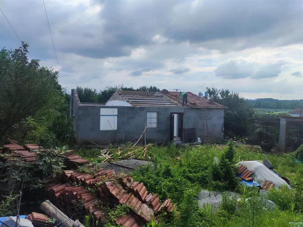 按图索骥,新洲阳逻拆除密林内存量违建 | 极目新闻