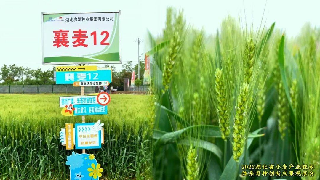 图片5.png 图片5.png