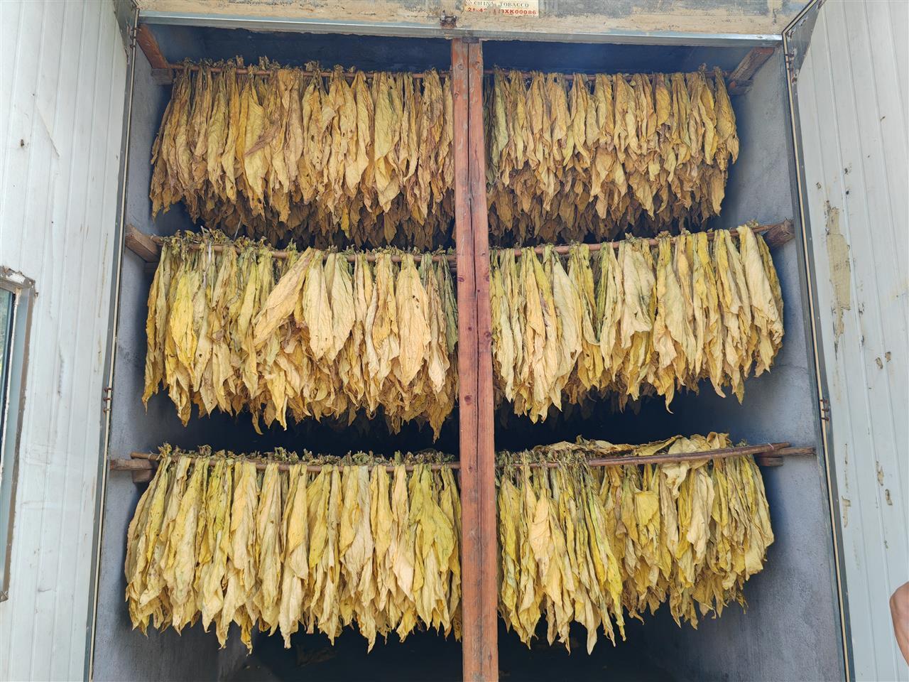 IMG_20250715_145423.jpg IMG_20250715_145423.jpg