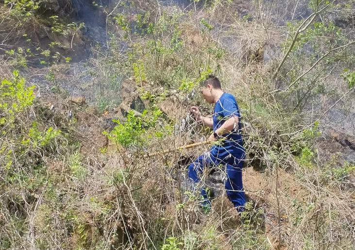 QQ_1775479340131.png QQ_1775479340131.png