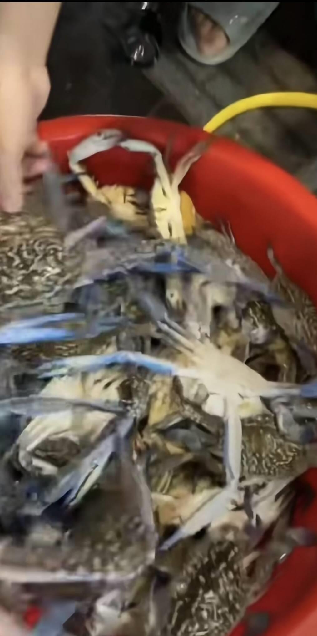 F2VB64$`6A0ARM%~G5UB3P5_tmb.jpg F2VB64$`6A0ARM%~G5UB3P5_tmb.jpg