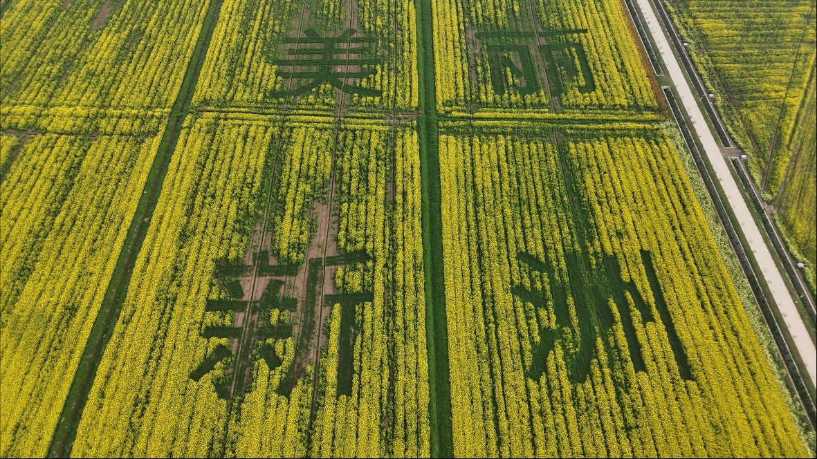 微信图片_20260326111553_83_591.jpg 微信图片_20260326111553_83_591.jpg