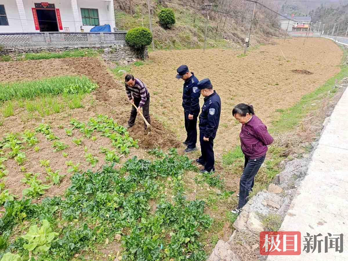 图8：后坪派出所民警正在田间踏查.jpg