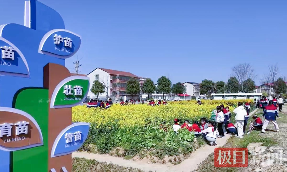 截屏2026-03-20 下午11.35.27.png