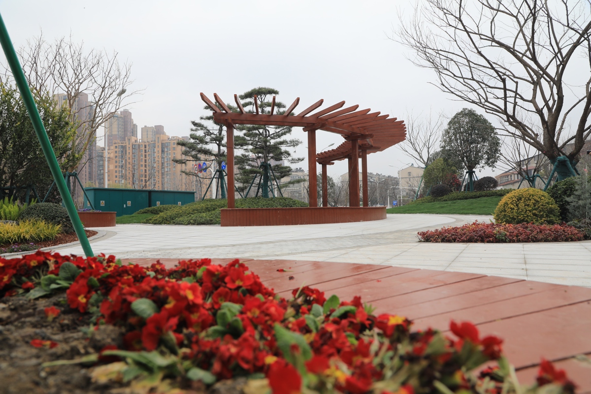 洪山仁和路赛道沿线新增小游园——肖敏摄.JPG