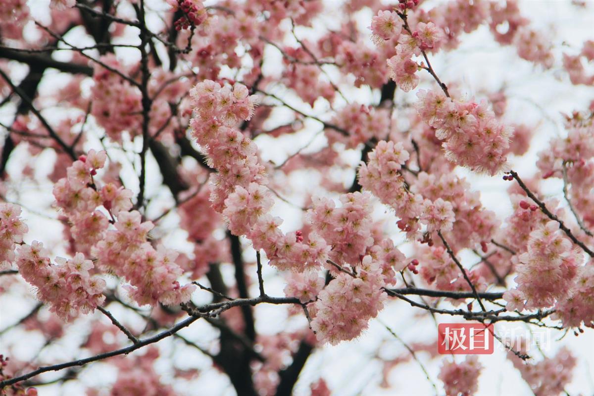 pub_cb202503041129213376548377.jpg pub_cb202503041129213376548377.jpg