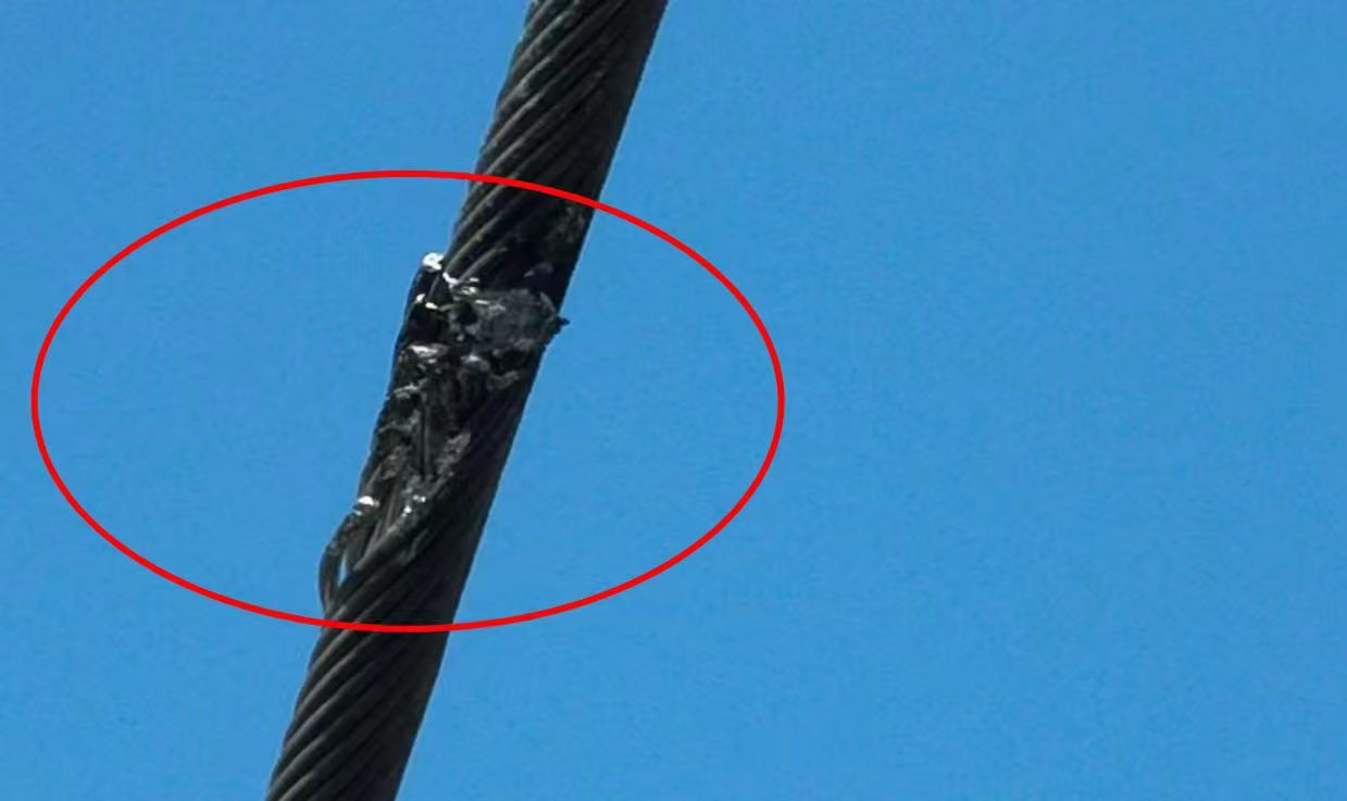 mmexport1773458961519.jpg mmexport1773458961519.jpg