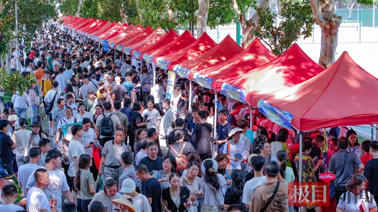 组图！极目新闻第二十一届高招咨询会火爆开场