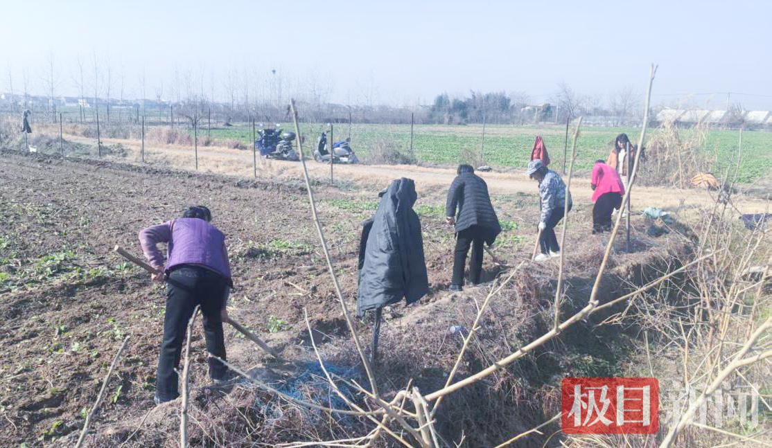 图片1.jpg 图片1.jpg