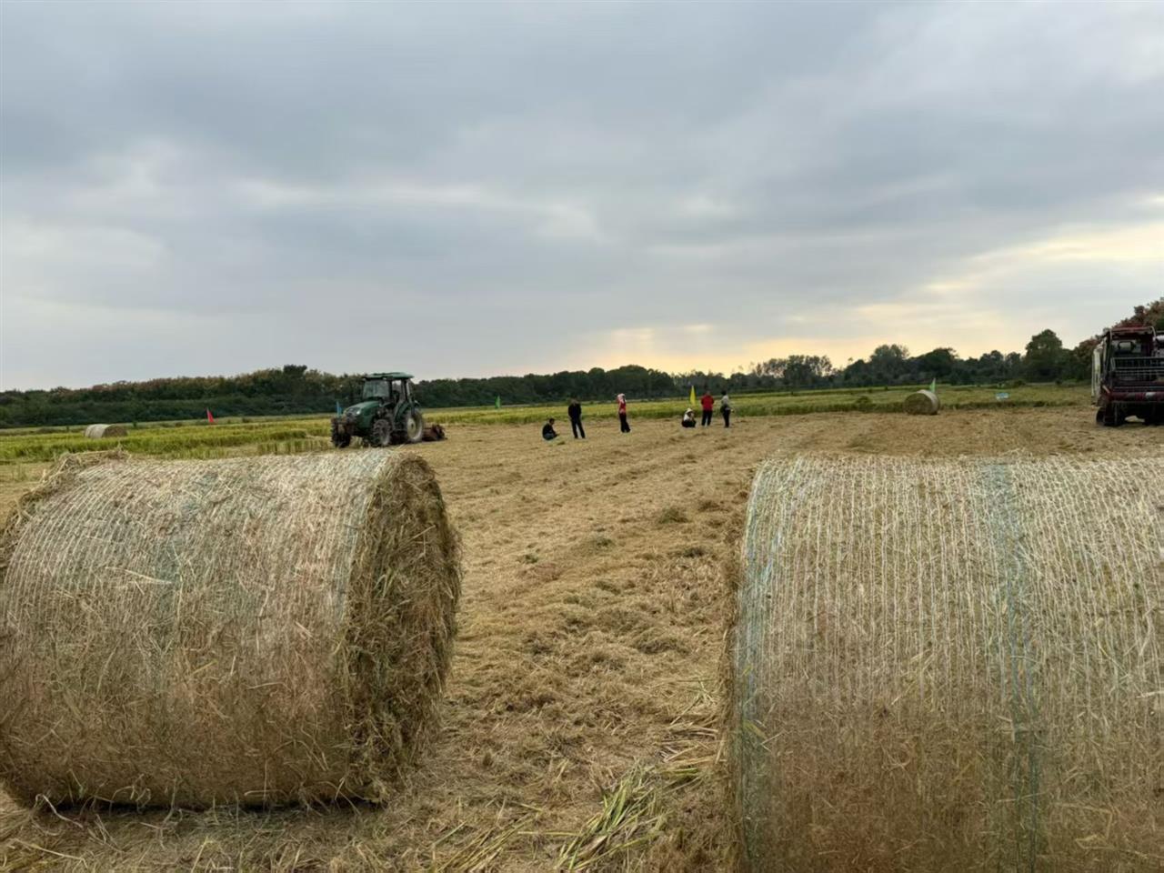 微信图片_2025-10-19_160601_651.jpg 微信图片_2025-10-19_160601_651.jpg