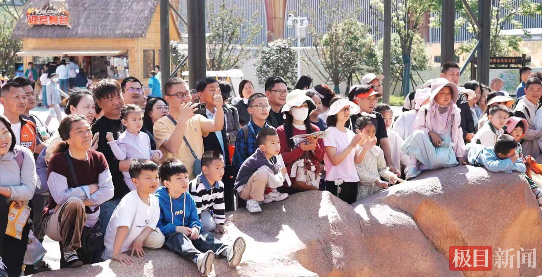 动物二.jpg