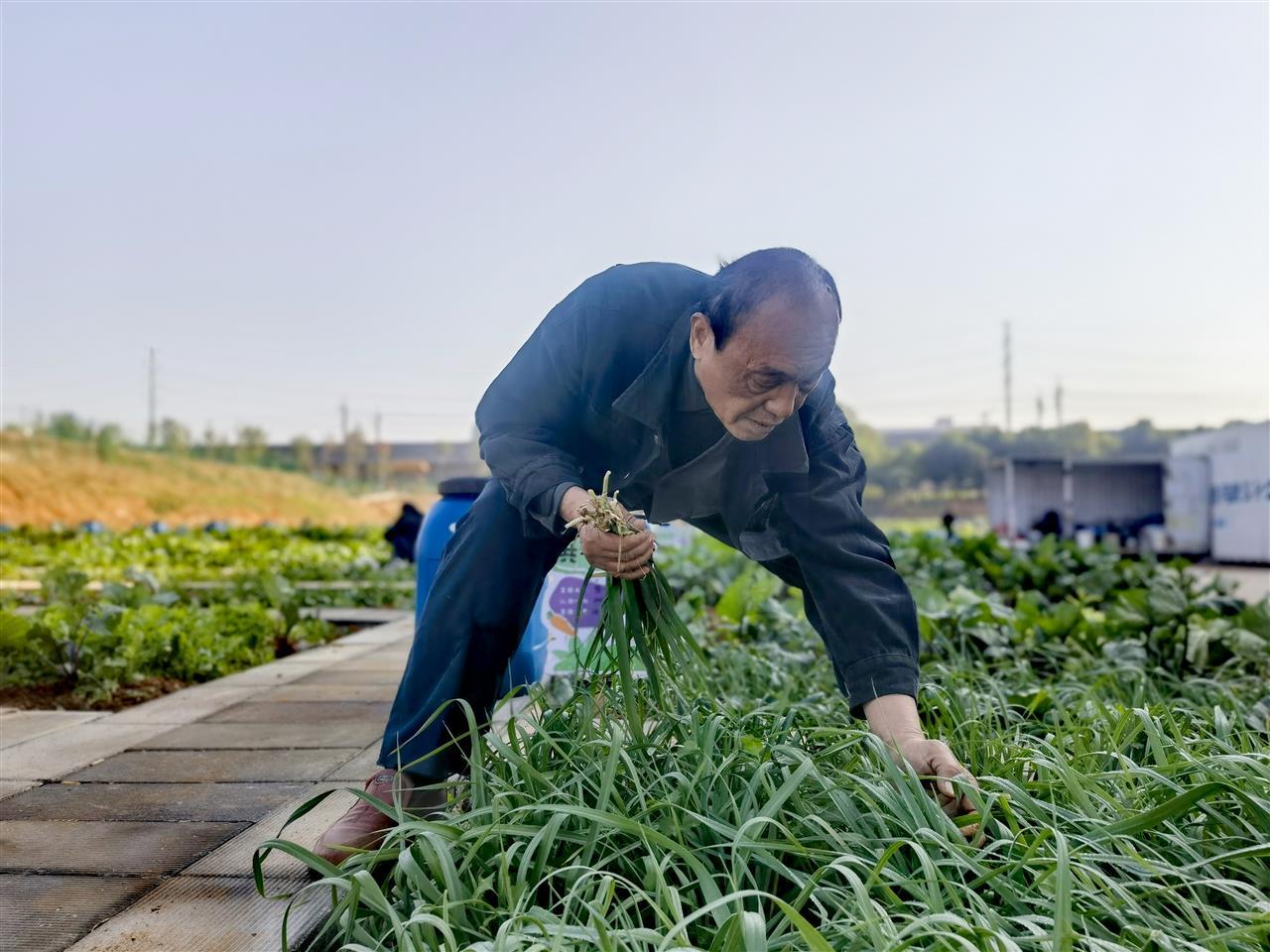 杨自东.jpg 杨自东.jpg