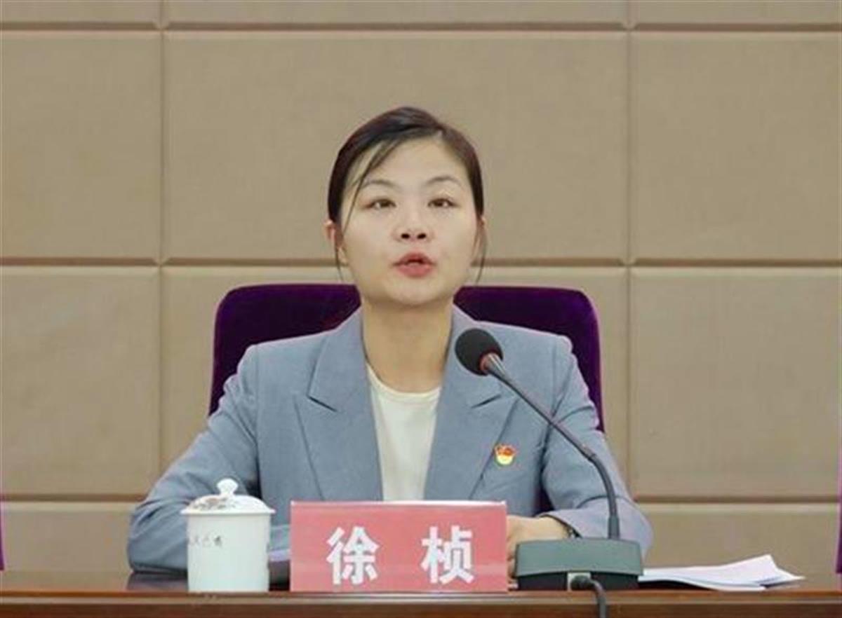 图片显示,现任澧县县委副书记徐桢拟提名为县市区人民政府县市区长