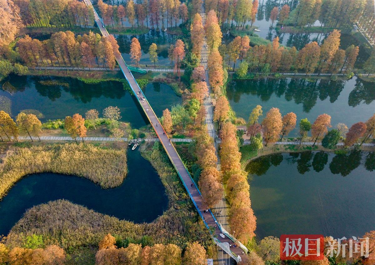 长乐东湖湿地公园图片