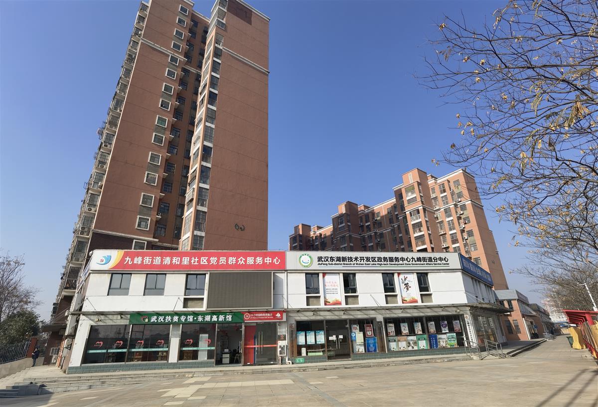 政务服务店小二半数为90后光谷清和里社区新四办服务到居民家里