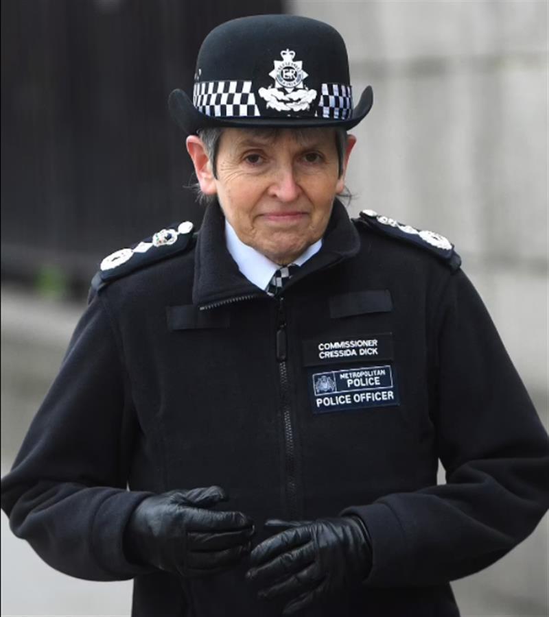 英国警察体系图片