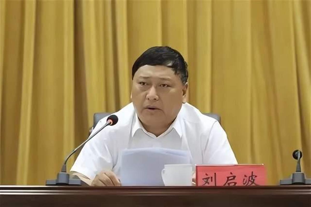 刘启波被逮捕,曾与两位"老虎"共事 | 极目新闻