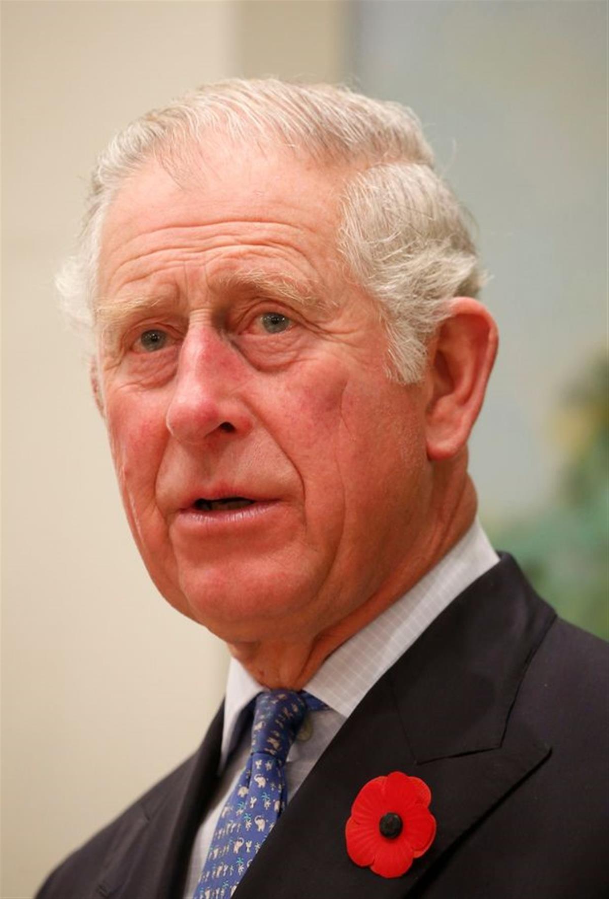 查尔斯三世继位才一周,就有人敦促他两年后传位给威廉王子 | 极目新闻