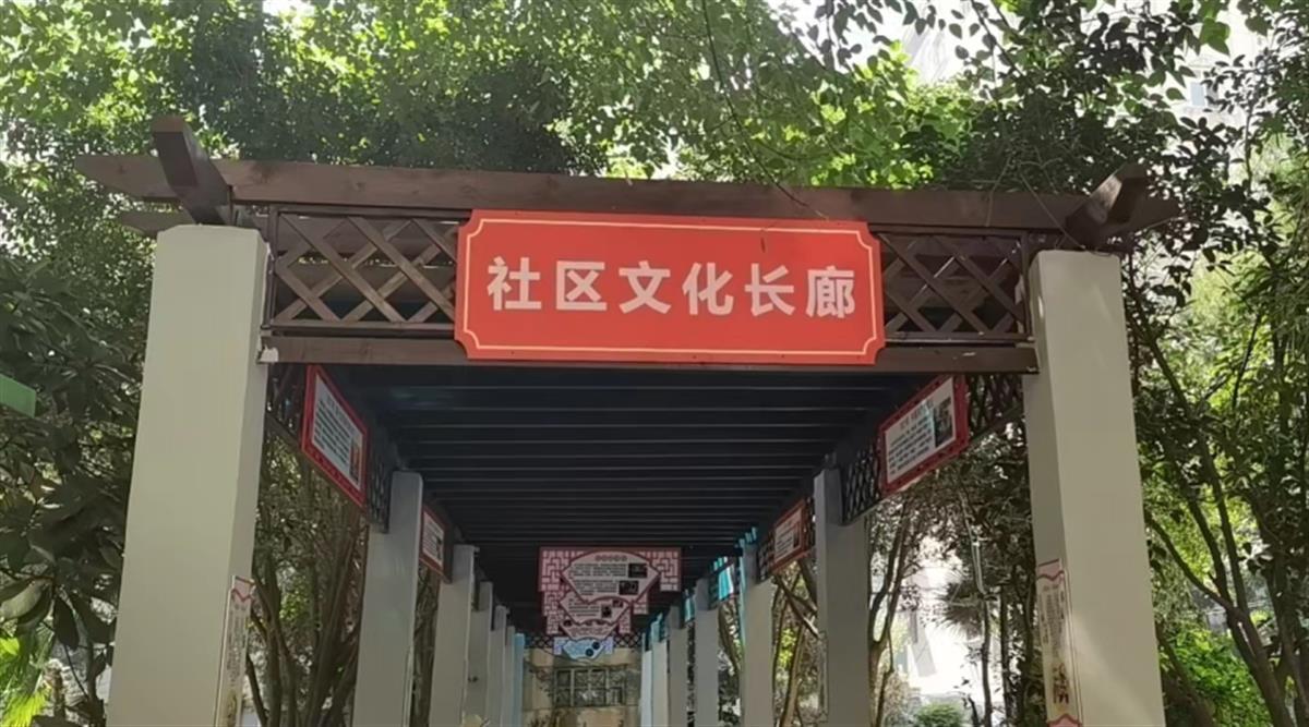 社区多方齐聚文化长廊,共话民生幸福微事 | 极目新闻