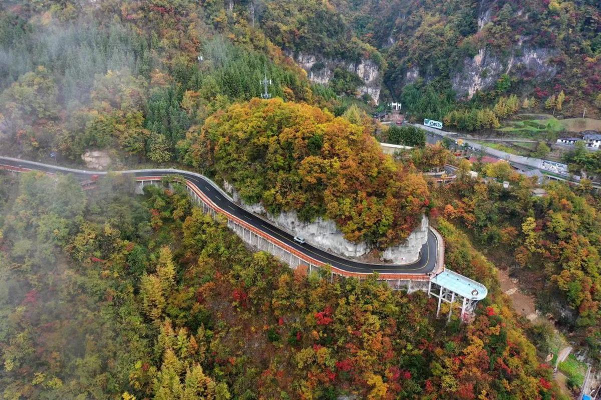 层林尽染,襄阳保康县山村秋色美不胜收 | 极目新闻