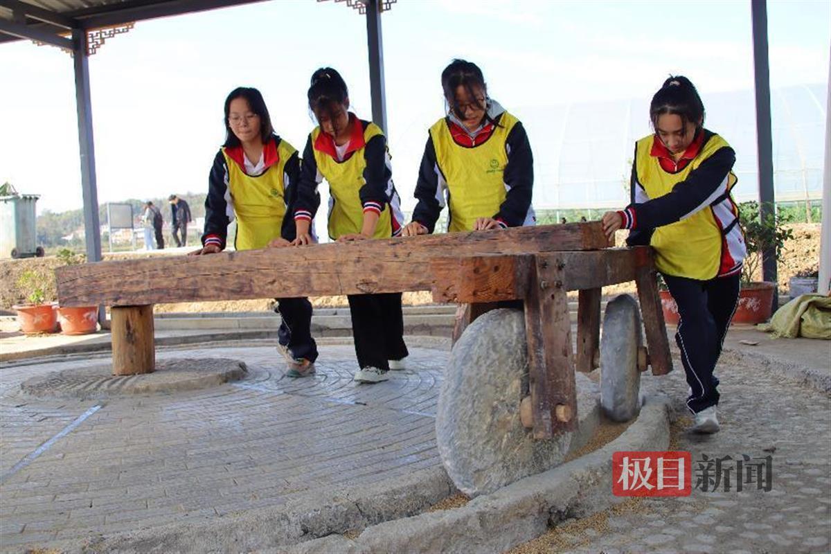 "三荒"嬗变为"三靓",赤壁研学小镇绣出乡村振兴最美画卷 | 极目新闻
