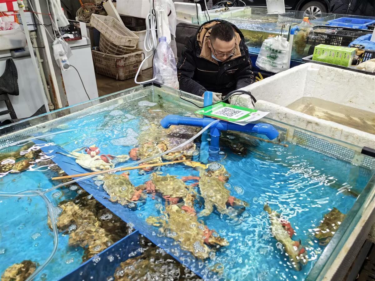 一元海鲜来了!家门口的菜市场就有,货源充足! 