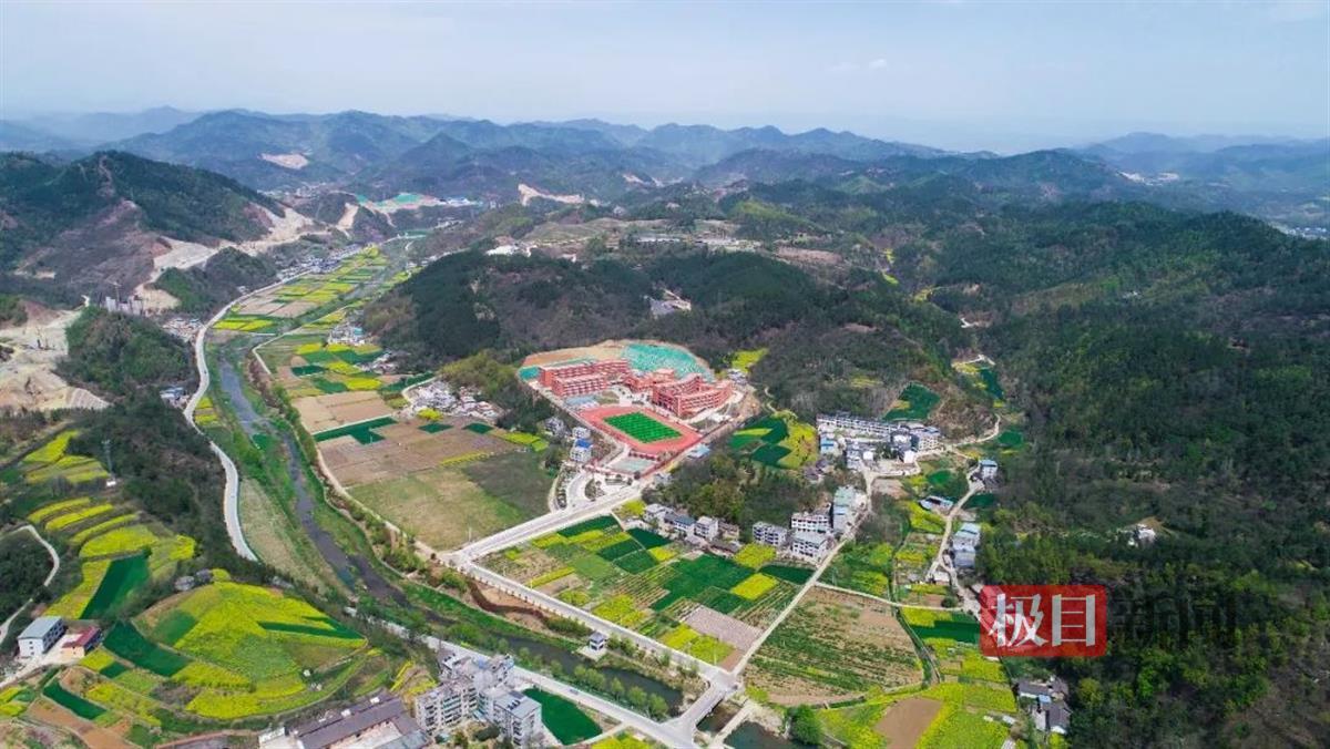 阳春三月,十堰市郧西县观音镇观音村的油菜花正遍野盛开