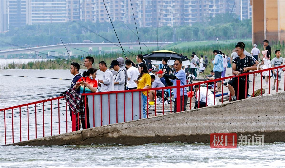 江水湍急杨泗港垂钓难度增大