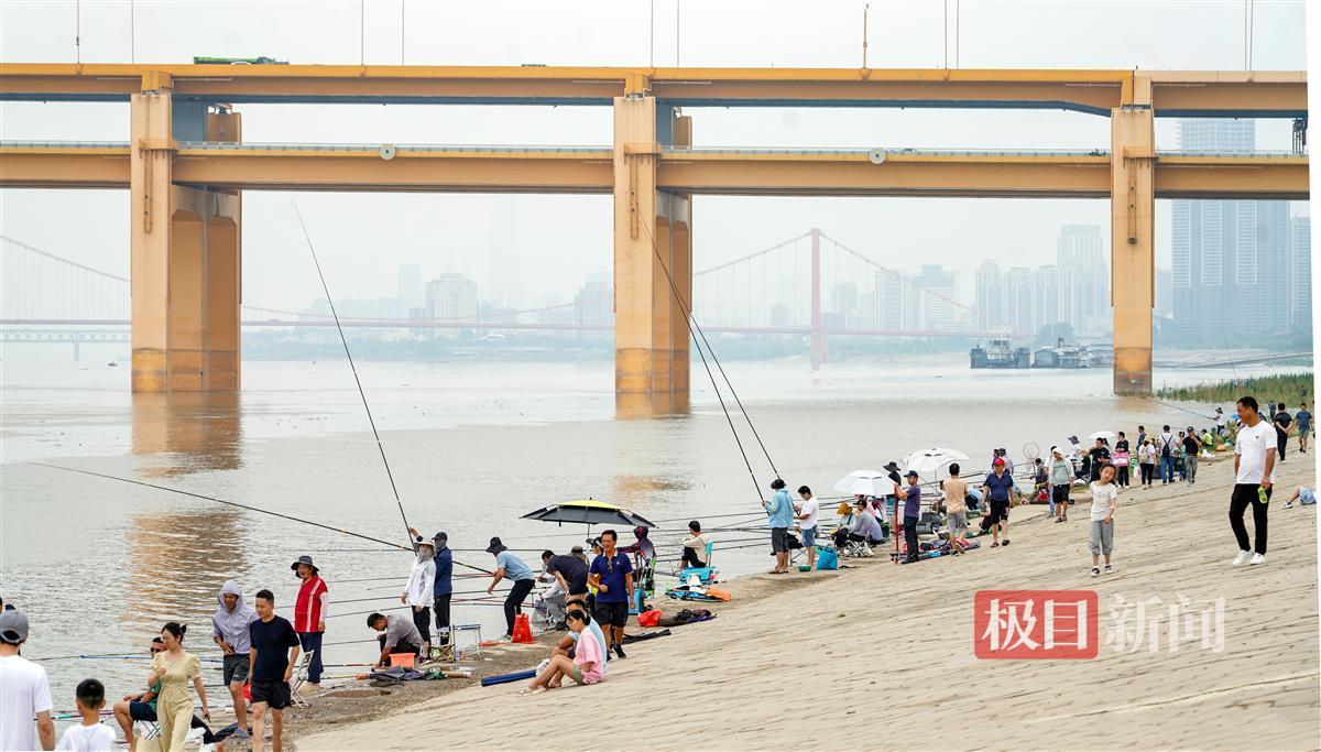 江水湍急杨泗港垂钓难度增大