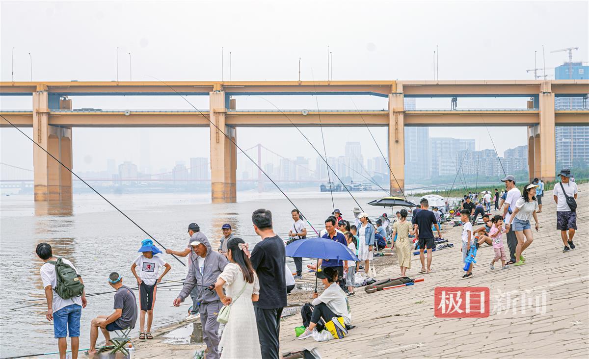 江水湍急杨泗港垂钓难度增大