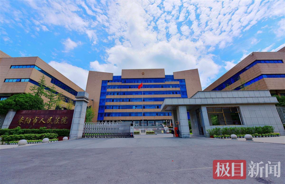 线缆垂落绊伤行人,四家公司共同担责 | 极目新闻