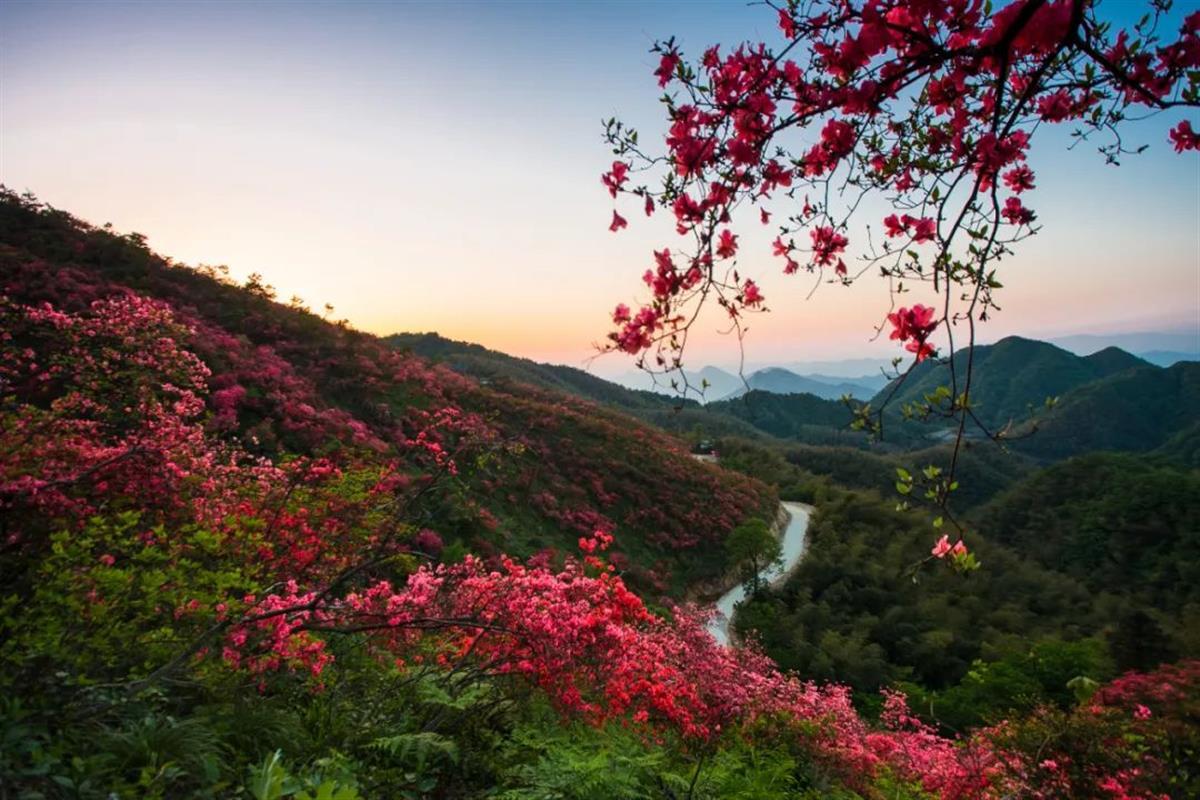 沿着高铁高速游咸宁咸宁的春天花开满城温暖宜人四季可游