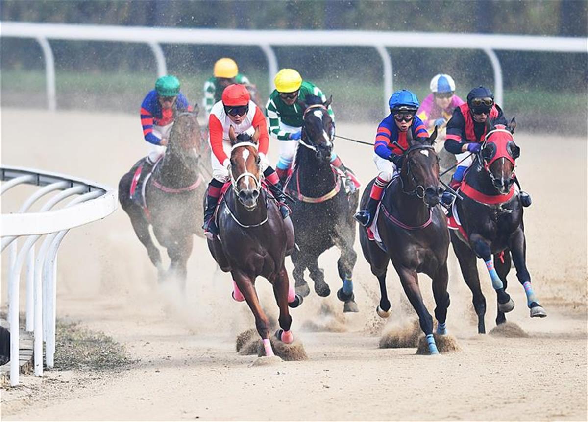 第十九届中国武汉国际赛马节隆重开幕