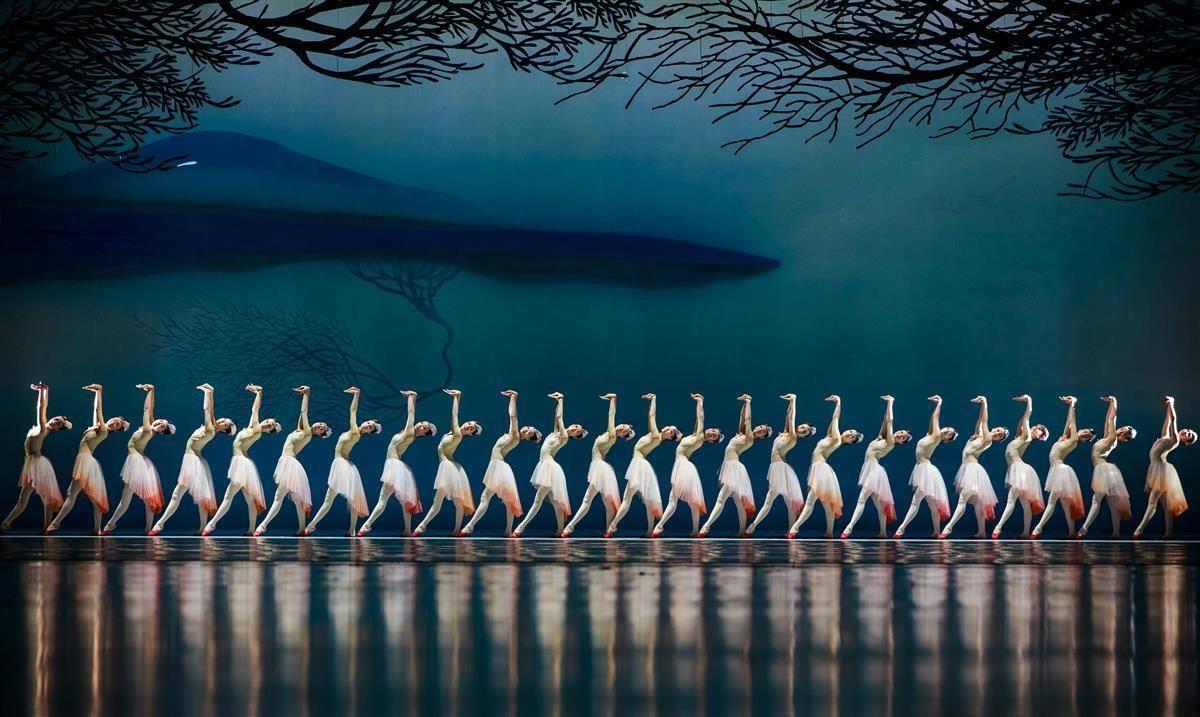 惊艳春晚的《朱鹮》本周末空降湖北剧院 | 极目新闻