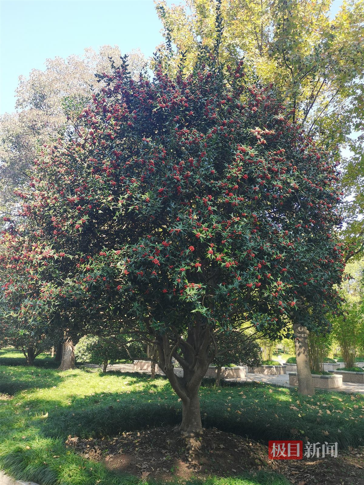 微信图片_20231219163631.jpg 微信图片_20231219163631.jpg