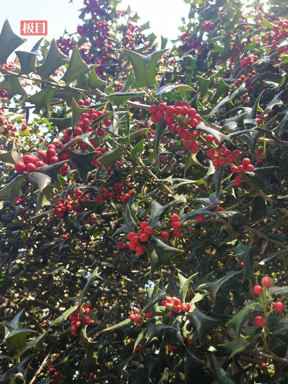 微信图片_20231219163636.jpg 微信图片_20231219163636.jpg